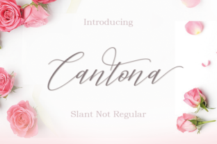 Cantona: A Designer’s Honest Review