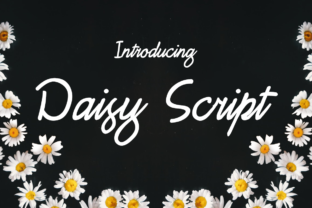 Daisy Script: A Web Designer’s Review