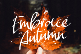 Embrace Autumn: A Designer’s Review of Script Amp’s Warm Script