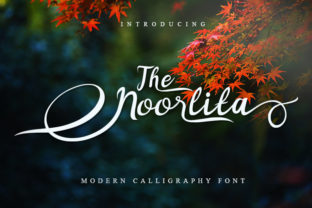 Noorlita Font: Elevating Editorial Design