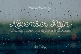 November Rain: A Clean Script Font for Web Design